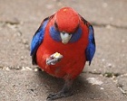 Str1kе